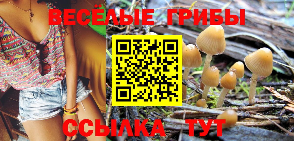 Псилоцибиновые грибы Psilocybe  Вход с VPN  Ачинск  Галлюциногенные грибы мицелий 