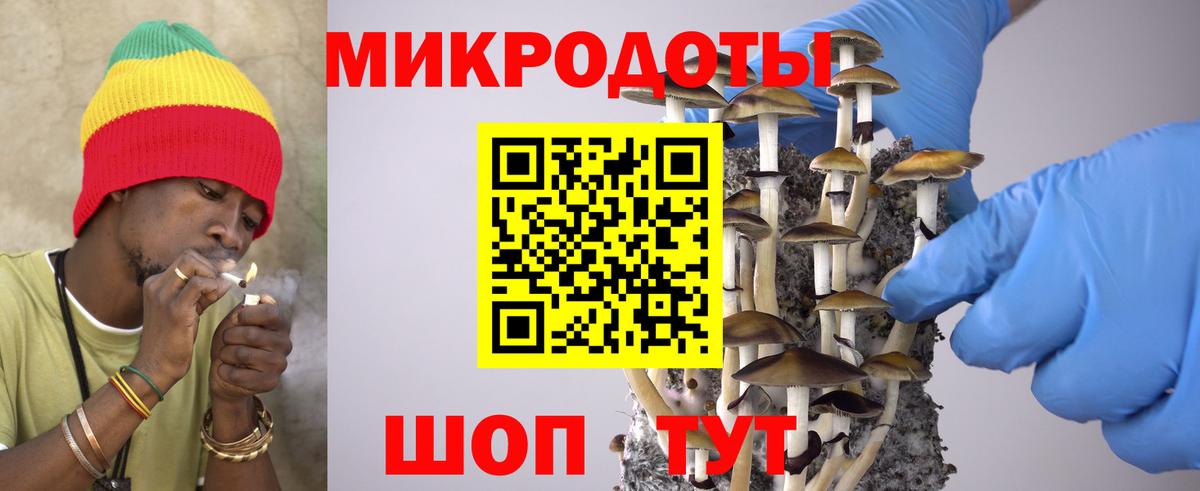 Псилоцибиновые грибы ЛСД Ачинск